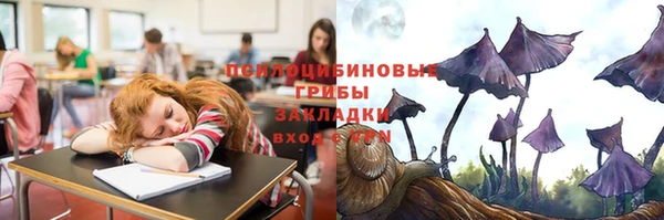 spice Алексеевка
