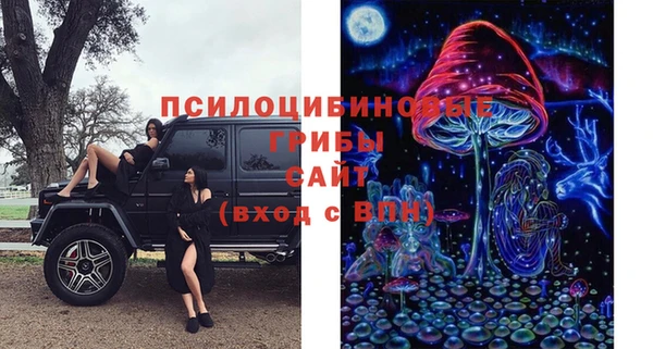 spice Алексеевка