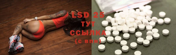 spice Алексеевка