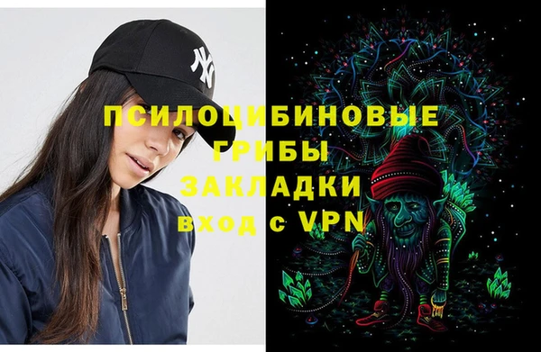 spice Алексеевка