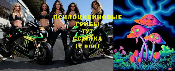 spice Алексеевка