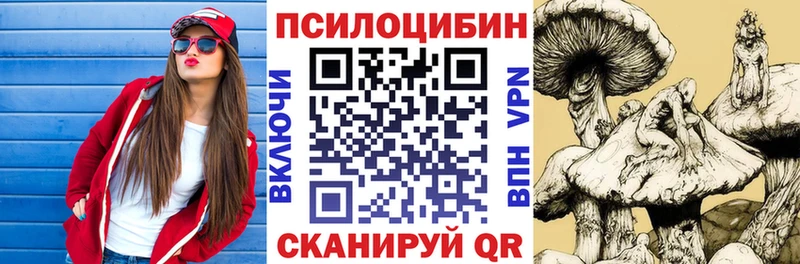 Псилоцибиновые грибы Cubensis  продажа наркотиков  Павловская 